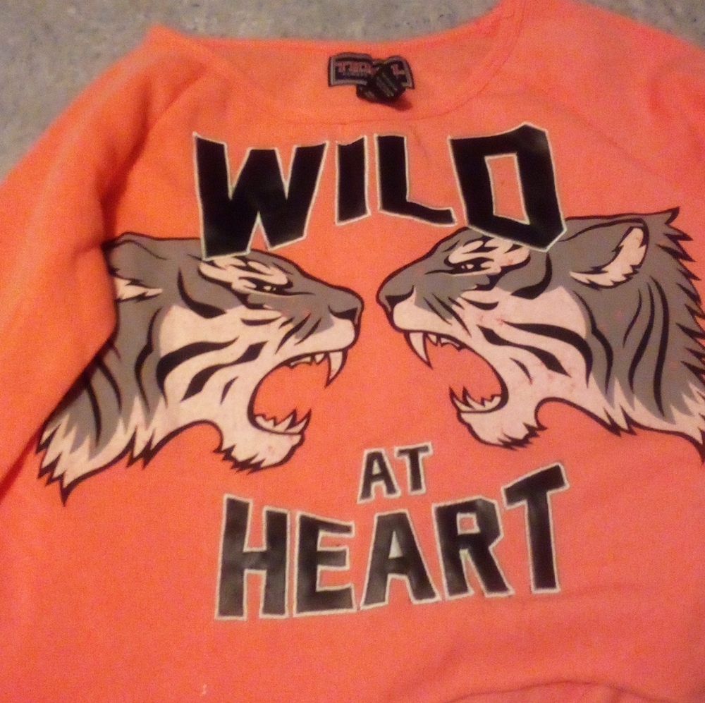 Long sleeve crop